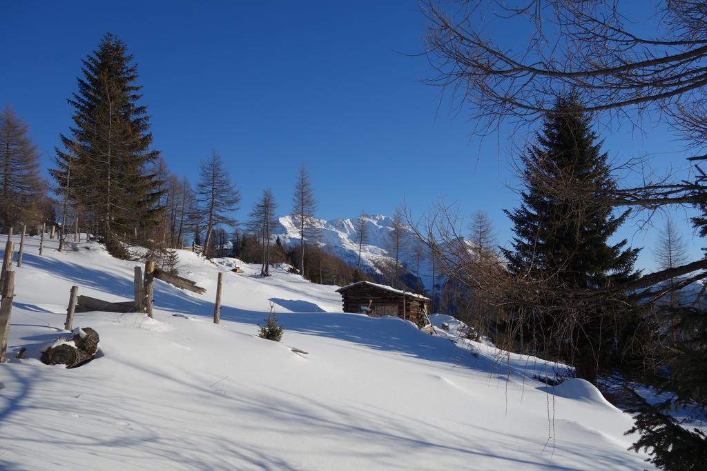 Wachtlerhof Lägenhet Matrei in Osttirol Exteriör bild