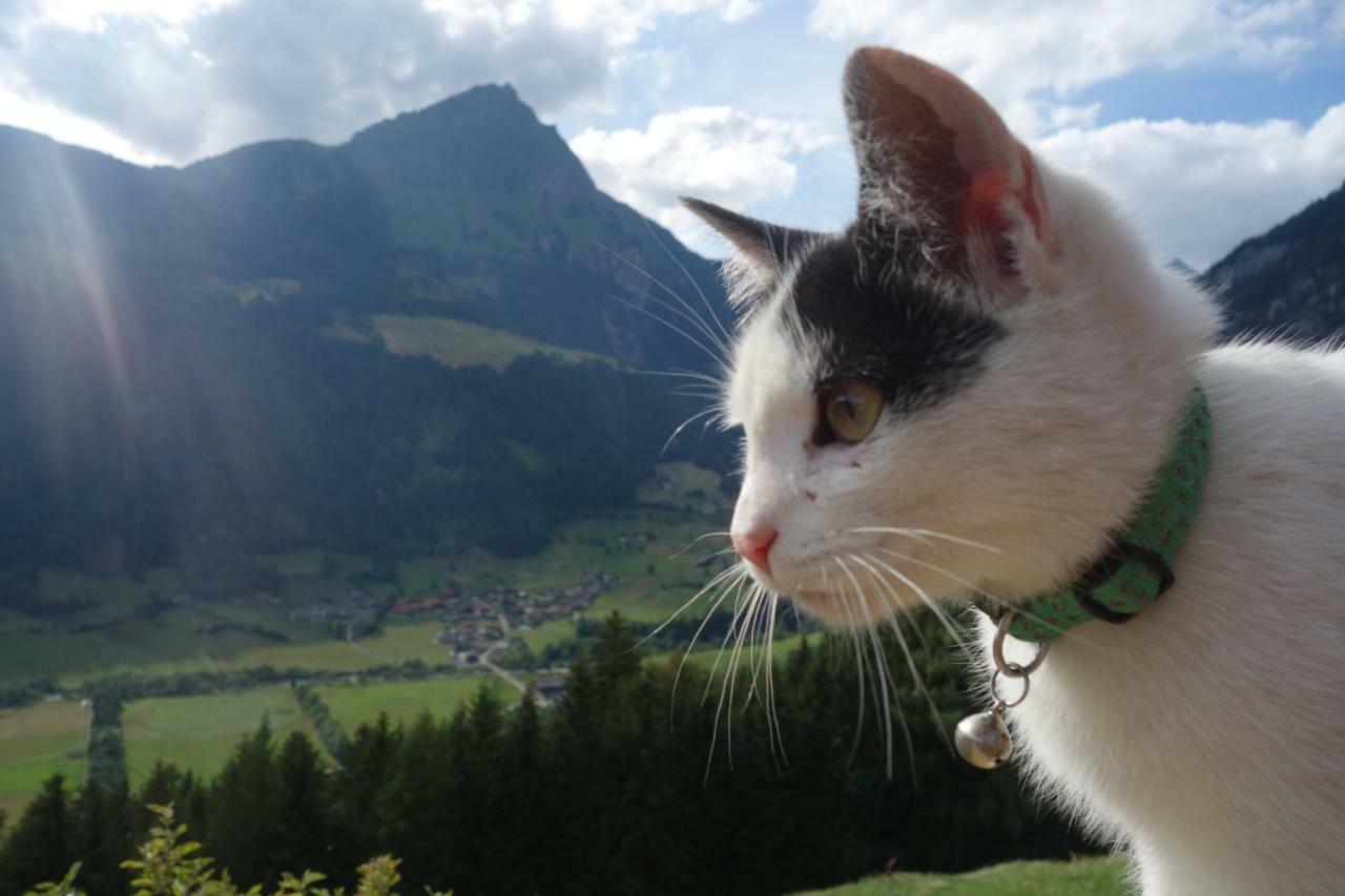 Wachtlerhof Lägenhet Matrei in Osttirol Exteriör bild